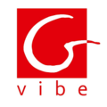 Логотип Gvibe секс-шоп